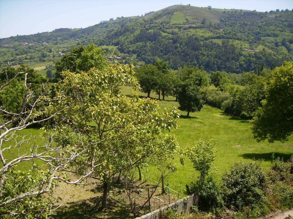 El Mirador De Valdedios " Casa Friera" Daire Puelles Dış mekan fotoğraf